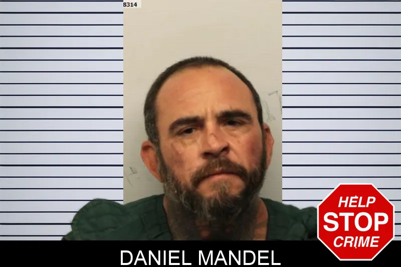Daniel Mandel mugshot – Chatham County , Georgia Daniel Mandel mugshot