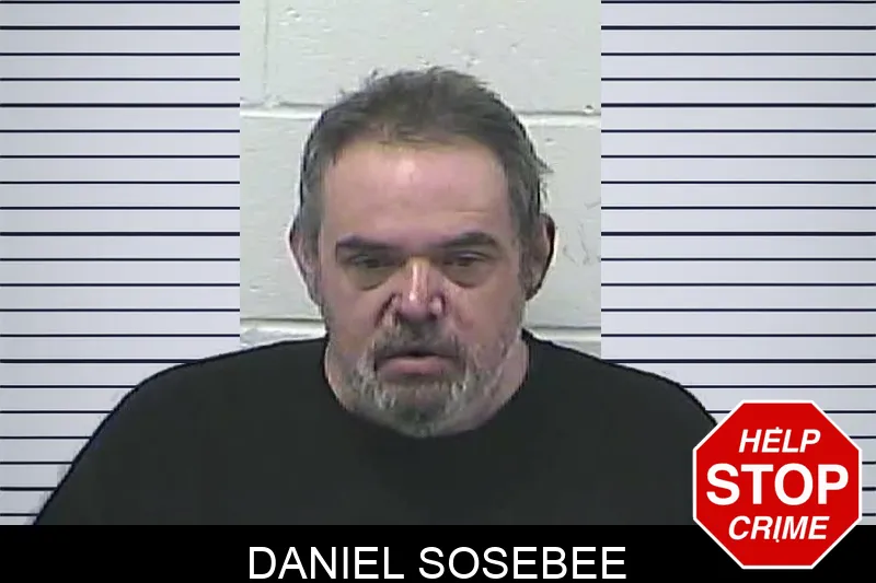 Daniel Sosebee mugshot