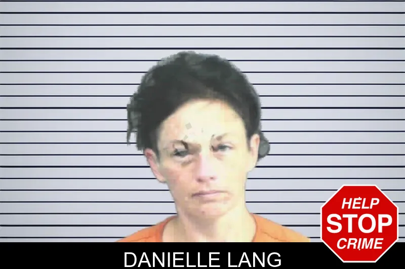 Danielle Lang mugshot – Mitchell County , Georgia Danielle Lang mugshot