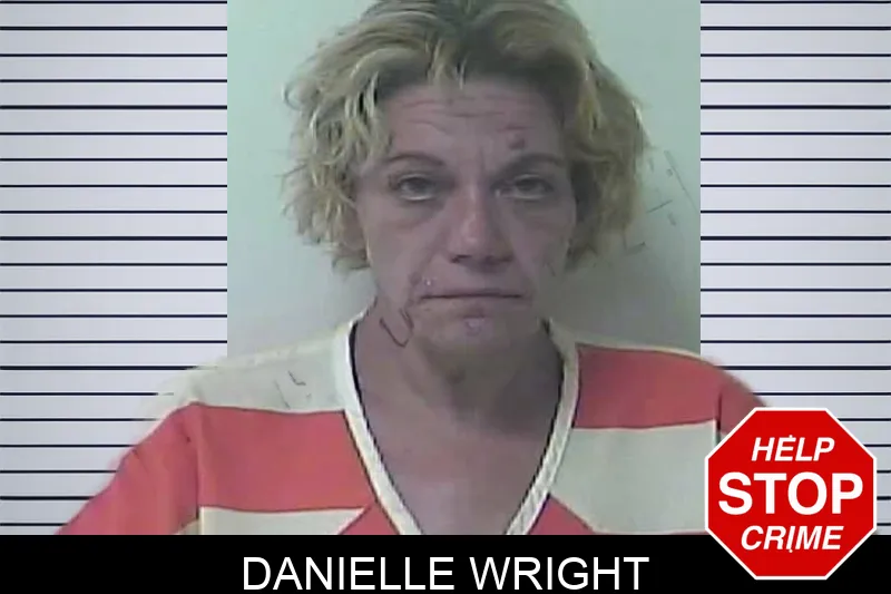 Danielle Wright mugshot – Oconee County , Georgia Danielle Wright mugshot