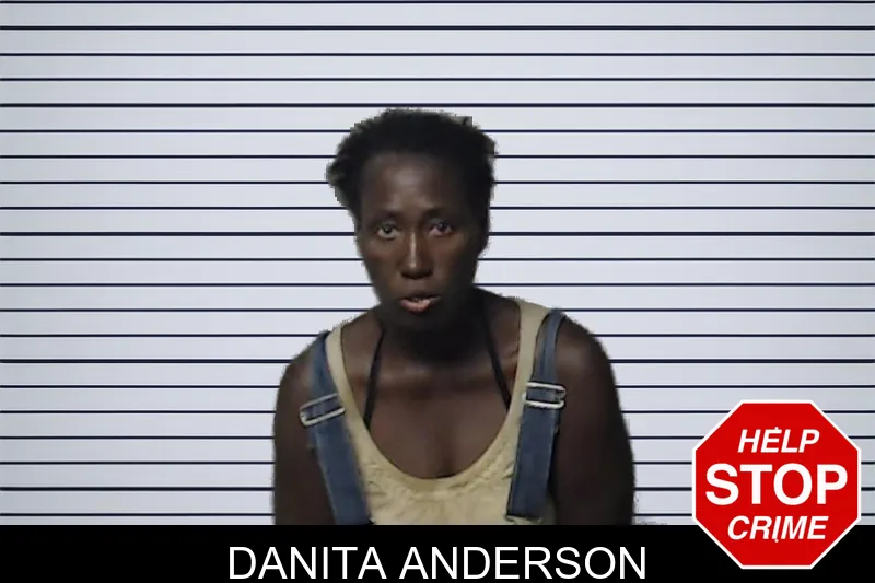 Danita Anderson mugshot