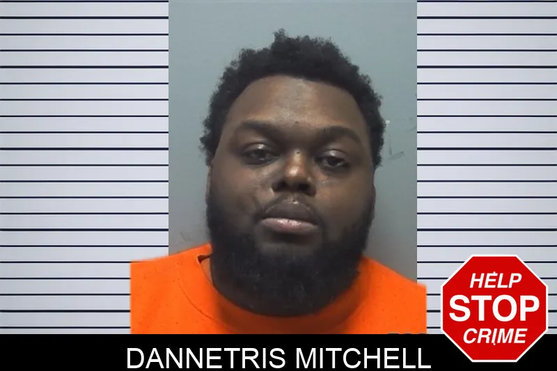 Dannetris Mitchell mugshot