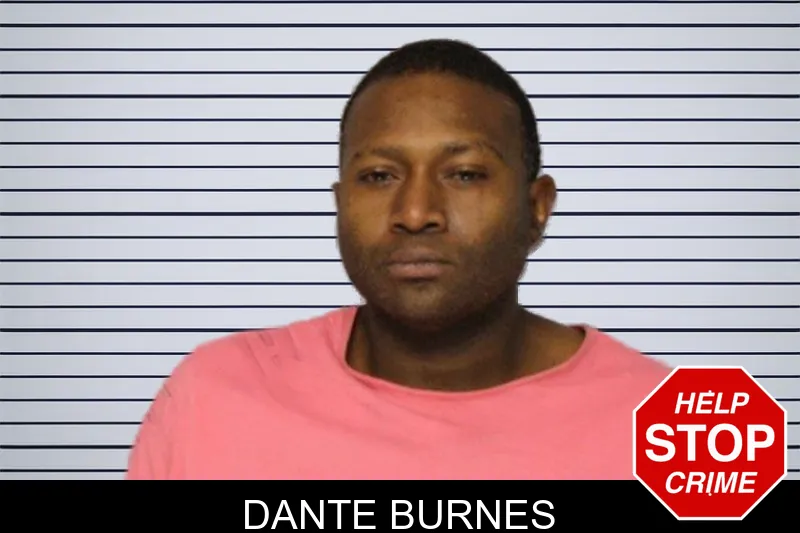 Dante Burnes mugshot