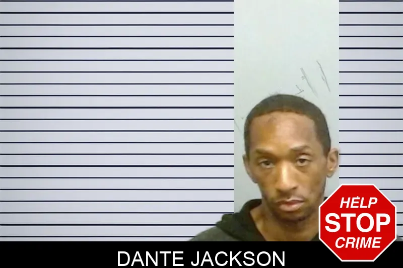 Dante Jackson mugshot