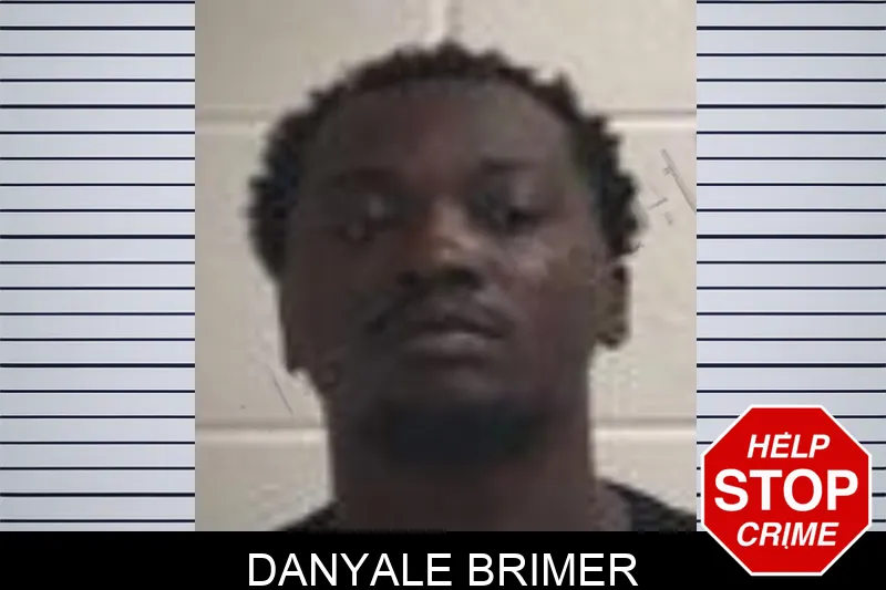 Danyale Brimer mugshot – Henry County , Georgia Danyale Brimer mugshot