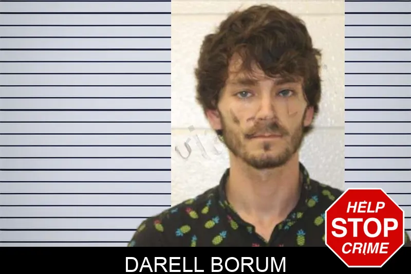 Darell Borum mugshot