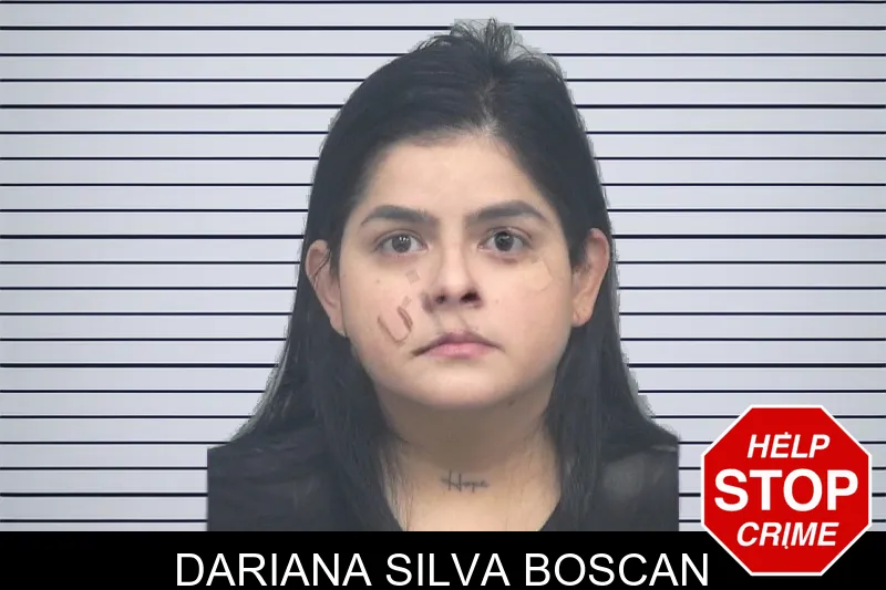 Dariana Silva Boscan mugshot