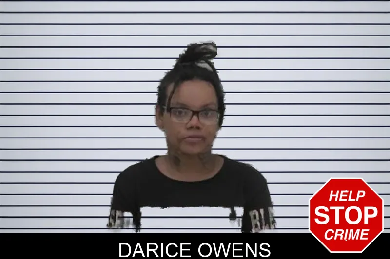 Darice Owens mugshot