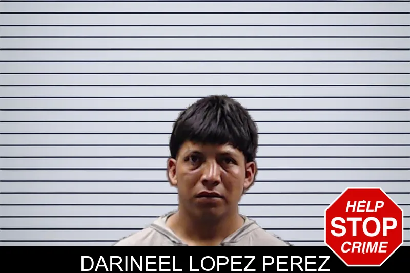 Darineel Lopez Perez mugshot