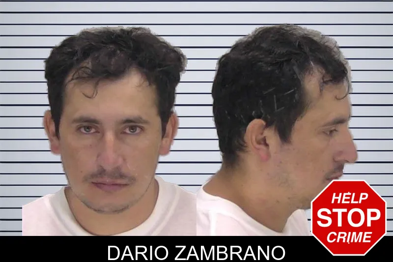 Dario Zambrano mugshot