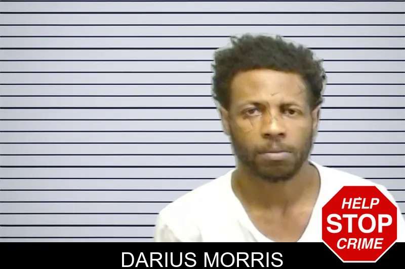 Darius Morris mugshot