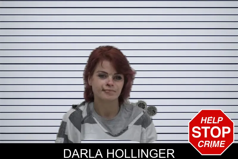 Darla Hollinger mugshot – Coffee County , Georgia Darla Hollinger mugshot