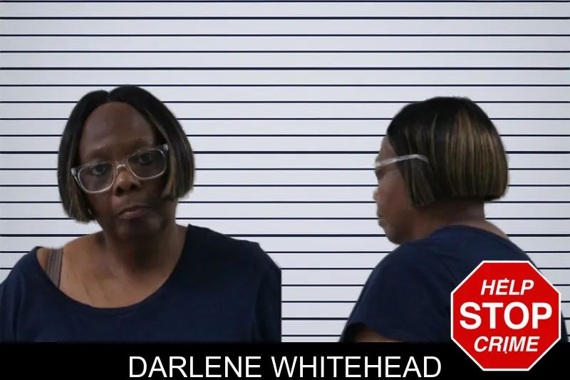 Darlene Whitehead mugshot