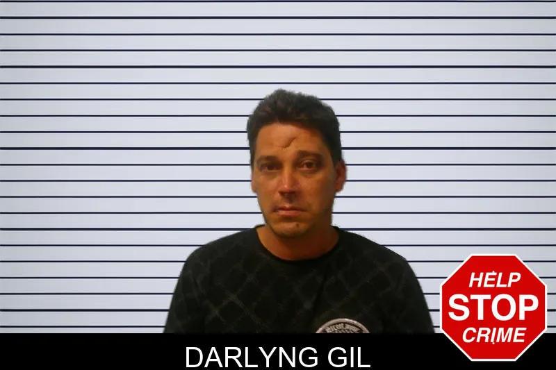 Darlyng Gil mugshot