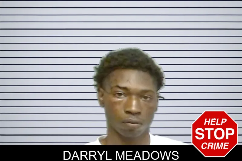 Darryl Meadows mugshot