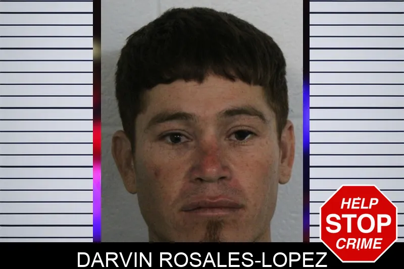Darvin Rosales-Lopez mugshot