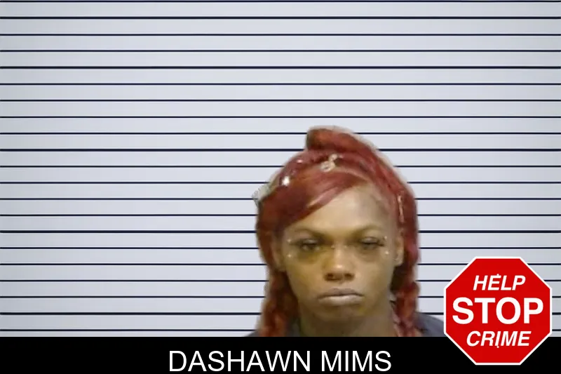 Dashawn Mims mugshot