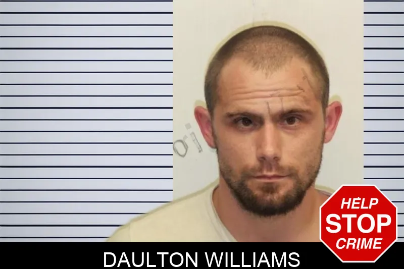 Daulton Williams mugshot