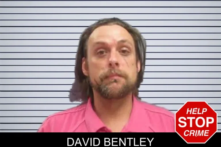 David Bentley