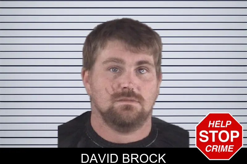 David Brock mugshot