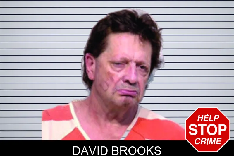 David Brooks mugshot – Bartow County , Georgia David Brooks mugshot