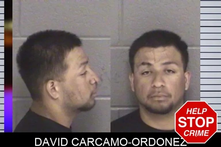 David Carcamo-Ordonez