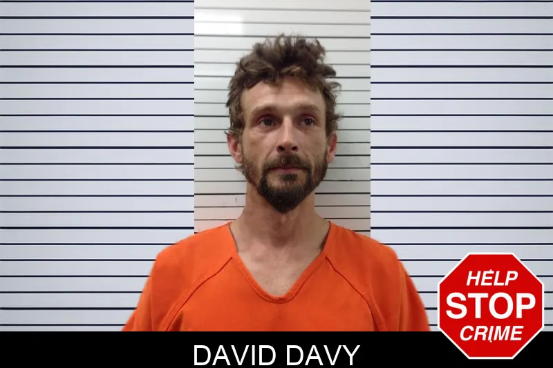 David Davy mugshot – Pickens County , Georgia David Davy mugshot