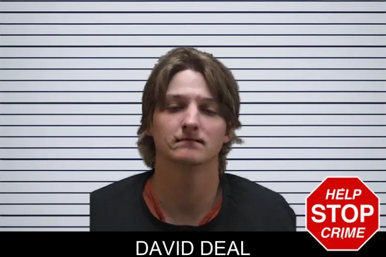 David Deal