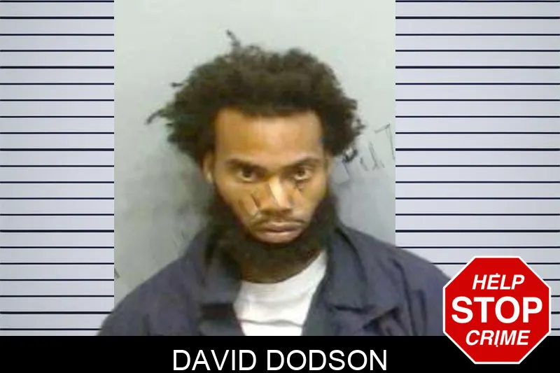 David Dodson mugshot – Fulton County , Georgia David Dodson mugshot