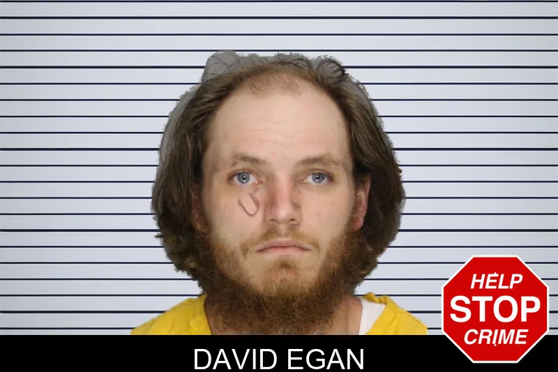 David Egan mugshot