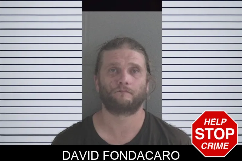 David Fondacaro mugshot – Brantley County , Georgia David Fondacaro mugshot