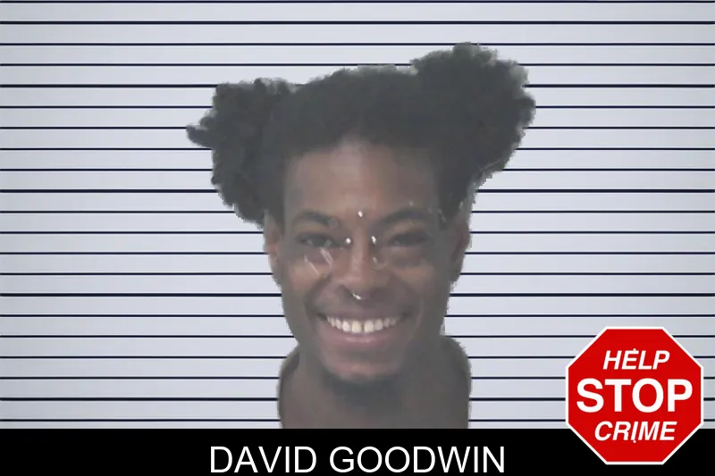 David Goodwin mugshot