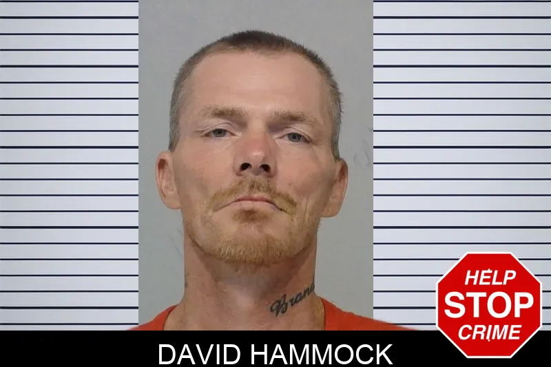 David Hammock mugshot