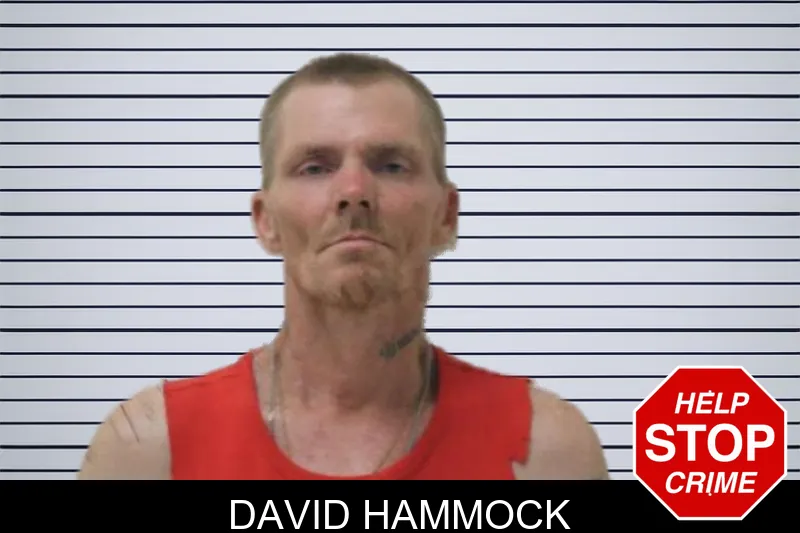 David Hammock mugshot