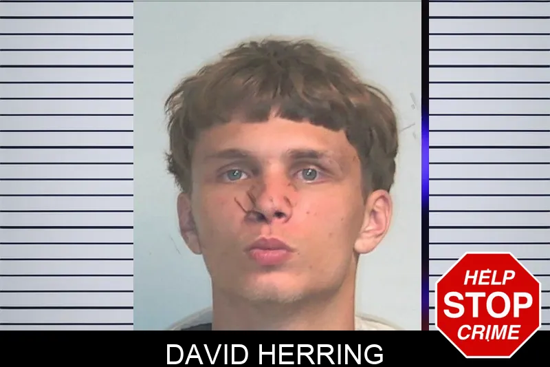 David Herring mugshot