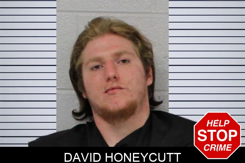 David Honeycutt mugshot – Carroll County , Georgia David Honeycutt mugshot