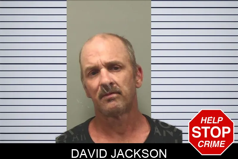 David Jackson mugshot – Bleckley County , Georgia David Jackson mugshot