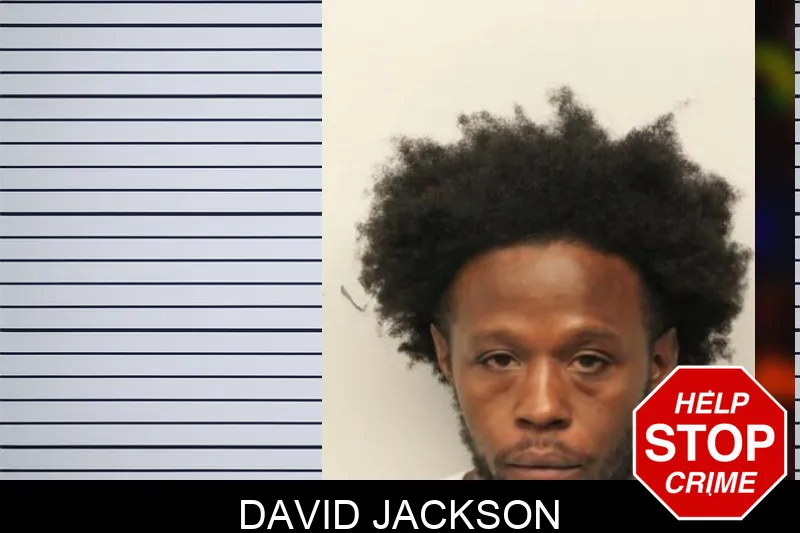 David Jackson mugshot – Chatham County , Georgia David Jackson mugshot