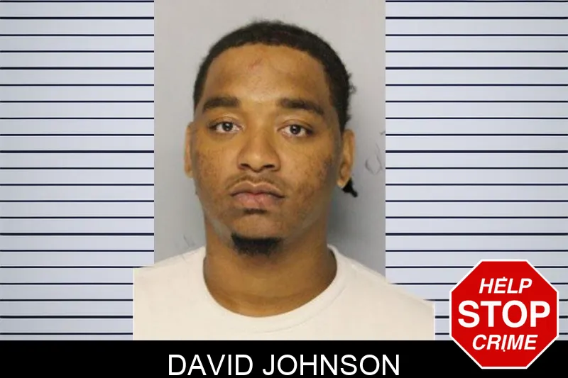 David Johnson mugshot