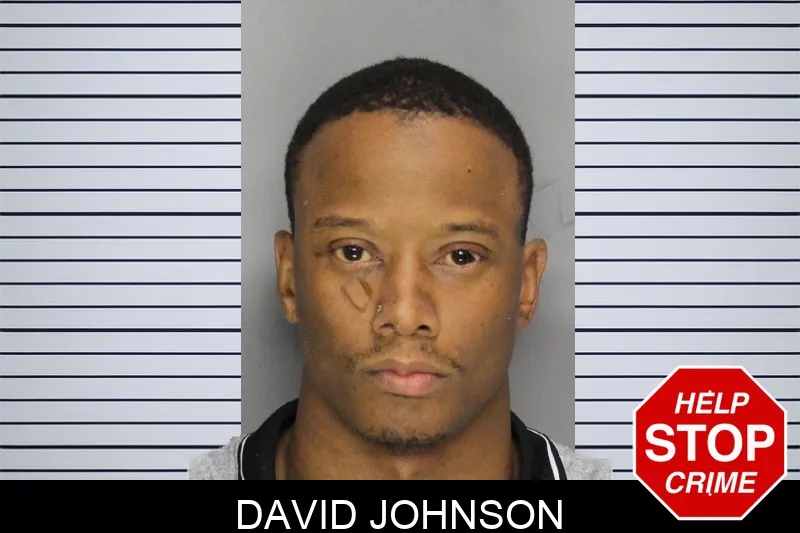 David Johnson mugshot