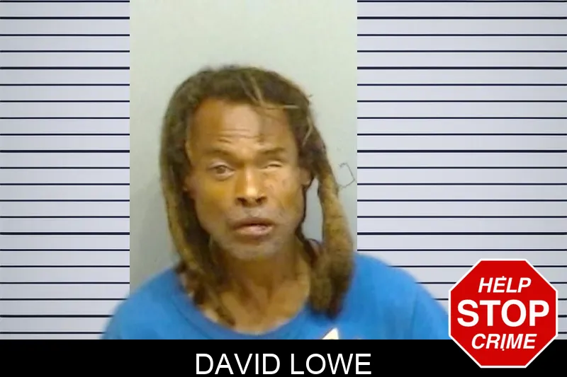 David Lowe mugshot