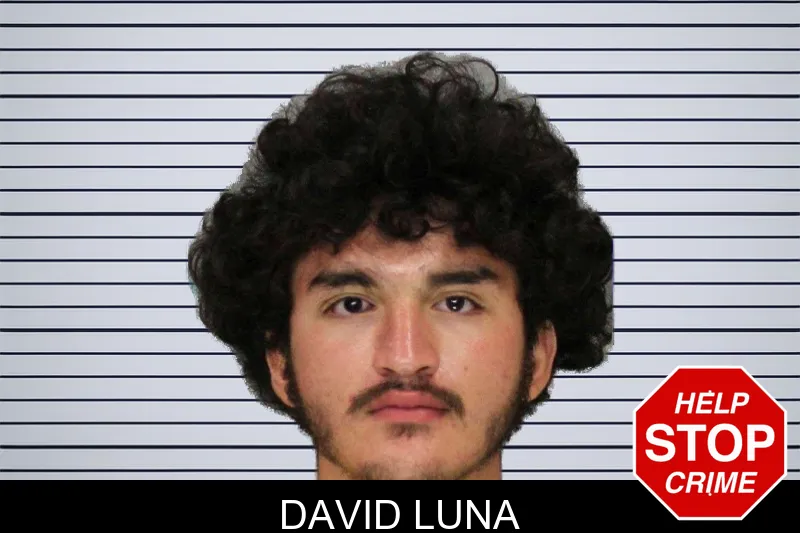 David Luna mugshot