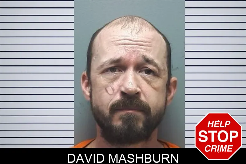 David Mashburn mugshot