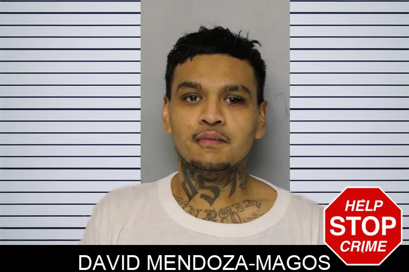 David Mendoza-Magos mugshot