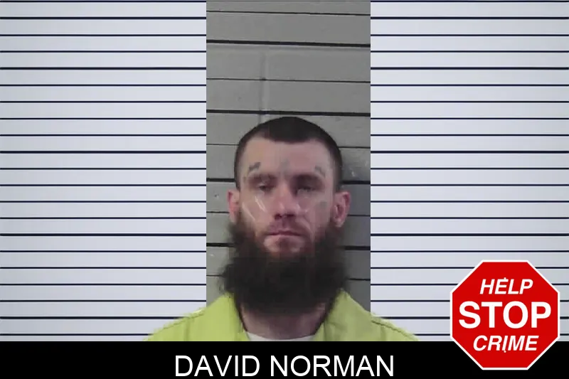 David Norman mugshot