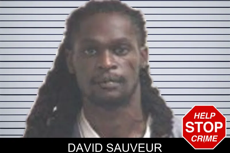 David Sauveur mugshot