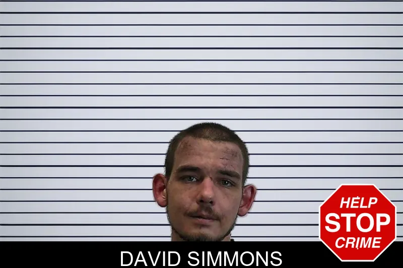 David Simmons mugshot – Hart County , Georgia David Simmons mugshot