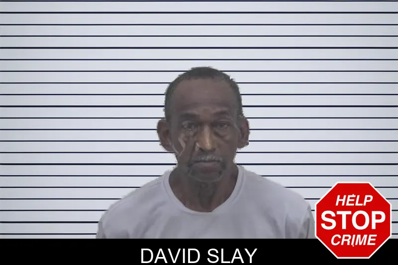 David Slay mugshot – Coffee County , Georgia David Slay mugshot