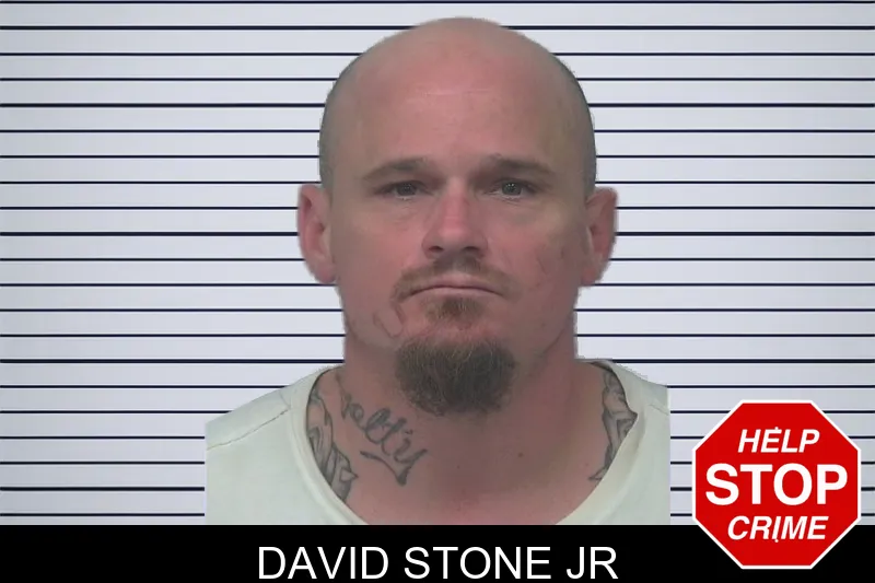 David Stone Jr mugshot – Gwinnett County , Georgia David Stone Jr mugshot