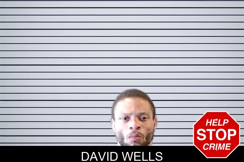 David Wells mugshot